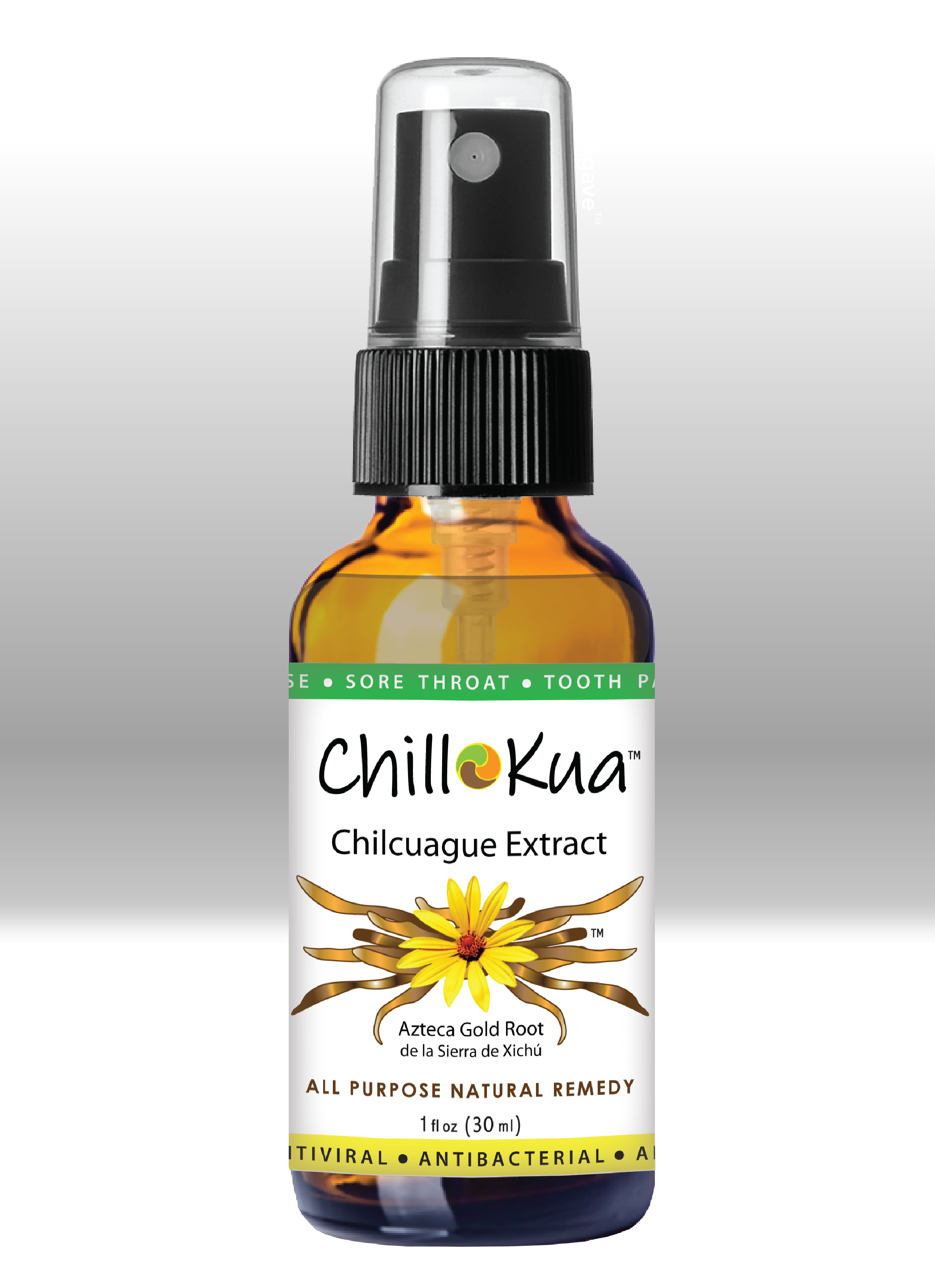 CHILLKUA - Chilcuague Extract